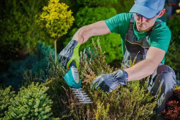 landscaping services Johnstown